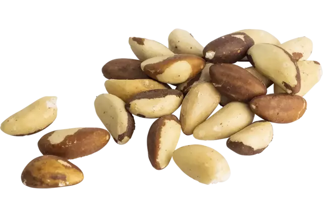Paranoten raw 500gr kist 8 stuks